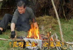 野外求生视频,跟随视频探索生存技巧与生存智慧