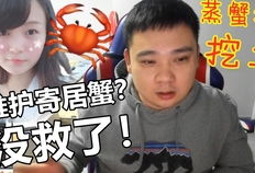 噼里啪啦视频,趣味动画，开启孩子快乐学习之旅