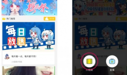 哔哩哔哩视频下载网站,一键获取热门视频，轻松享受精彩内容