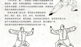 24式太极拳教学视频,入门必看，轻松掌握太极拳基础