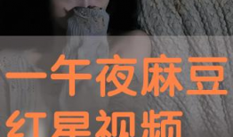 午夜视频在线,揭秘网络直播的神秘世界